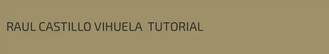 RAUL CASTILLO VIHUELA  TUTORIAL
